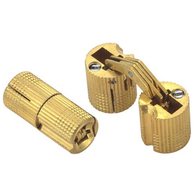 Concealed barrel hinge